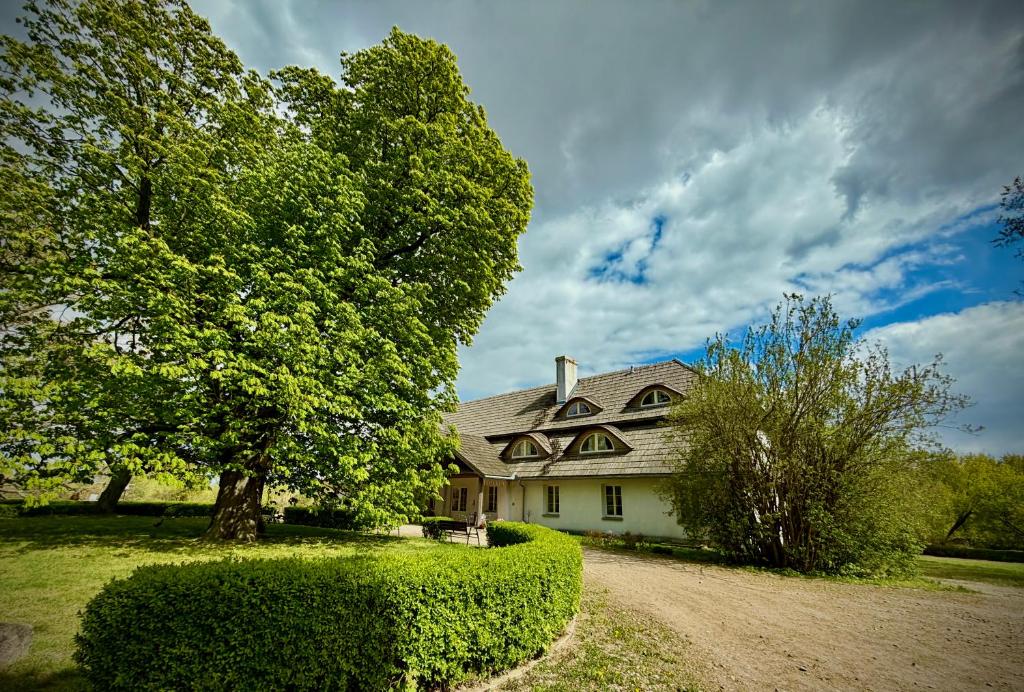 a white house with a tree and a dirt road at Dwór Strzyżew in Żelazowa Wola