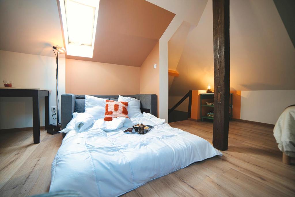 Toys - Cosy - Centre - Mulhouse – photo 21