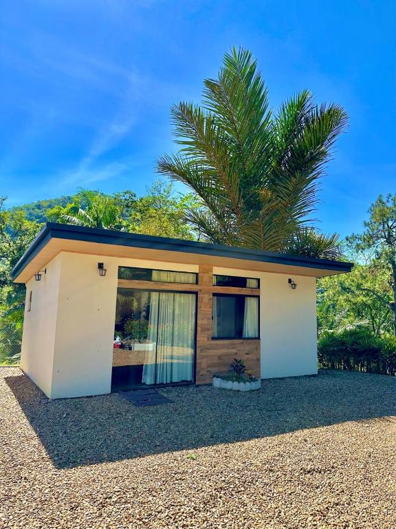 a small house with a palm tree behind it at Tiny House Londres, Timbó in Timbó