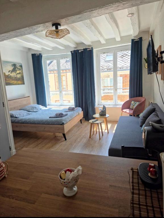 a living room with a bed and a couch at Studio Bourgogne 20 in Orléans