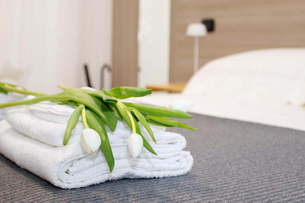 Petit Paris B&B