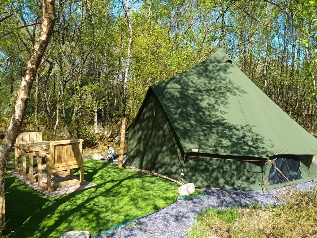 a green tent with a table and a chair at Green woodland bell tent in Ynys Station