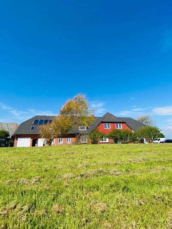 a house in a field with a grassy field at HaRe Ferienwohnungen in Langeneß