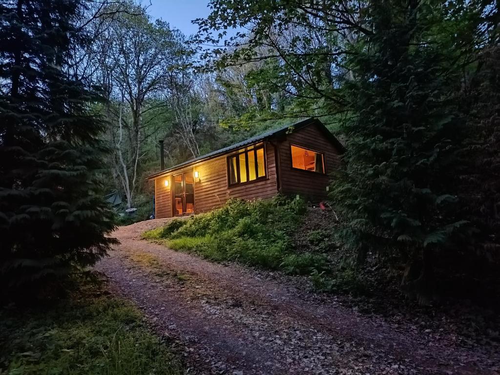 a small cabin in the woods at night at Stream-side cabin with private sauna option in Ballyduff