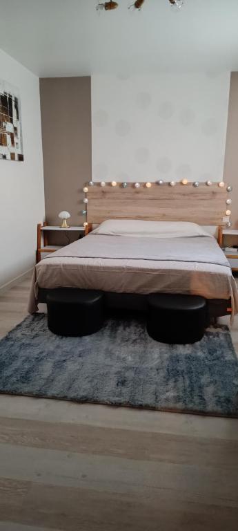 a bedroom with a bed and a blue rug at Verrecheznous-lepuy in Le Puy-Notre-Dame