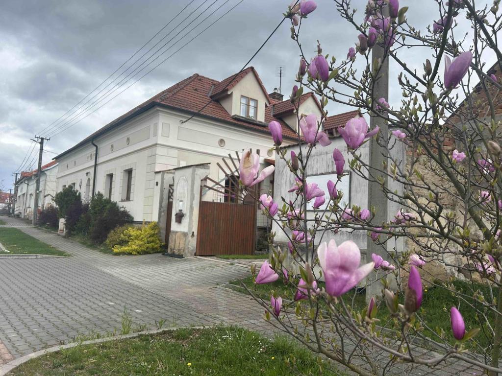 a white house with pink flowers in front of it at Privát u koní in Úherce