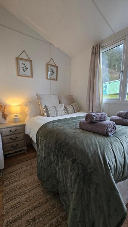 a bedroom with two beds and a window at Welsh Bayview Retreat 2-Bed Lodge at Clarach Bay Holiday Village in Aberystwyth