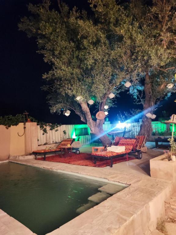 a pool with benches and a tree at night at Hôte sahara & spa TADIGHOUST in El Hara