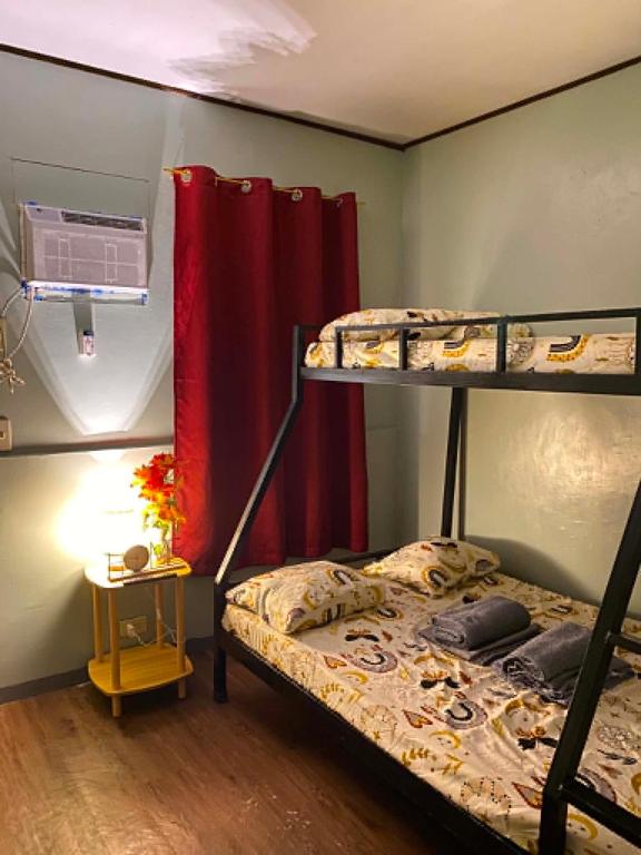a bedroom with two bunk beds and a window at Frogman inn in Puerto Princesa City