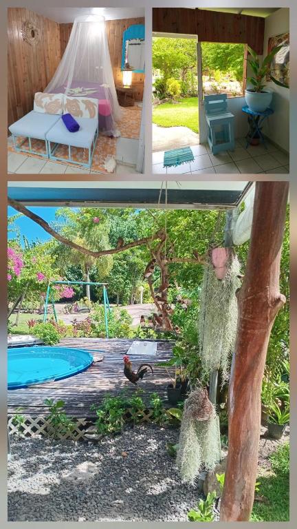 Chez Anna et Hugues - photo 8 - Moorea, Polynésie