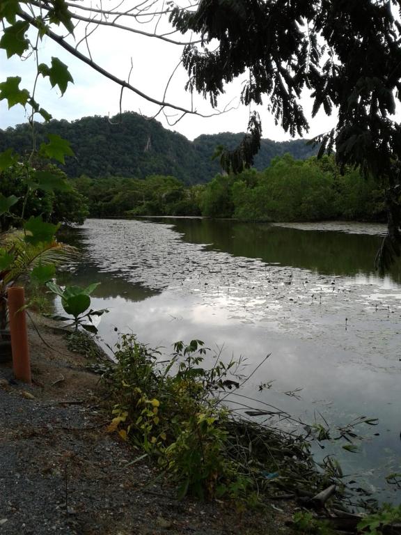 Homestay Seri Nipah Perlis - Праздничный дом