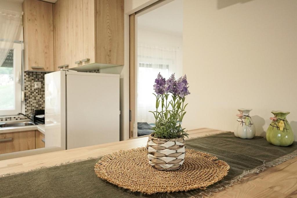 a vase with purple flowers on a table in a kitchen at Hill House Vrcelinija in Vuglovec