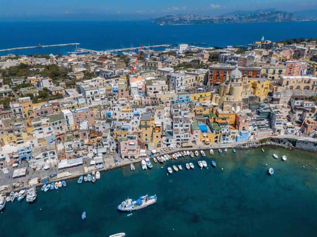 an aerial view of a city with boats in the water at La casa del Pescatore in Procida