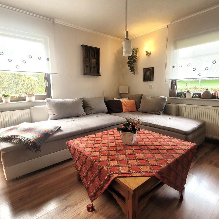 a living room with a couch and a table at Logis Am Park in Dessau