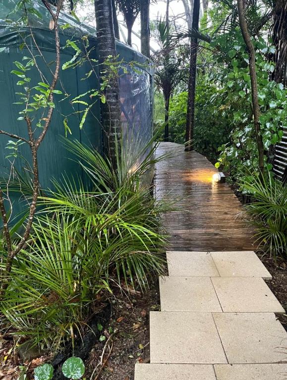 a rain soaked walkway in a garden with plants at Nikau Sanctuary in Raglan