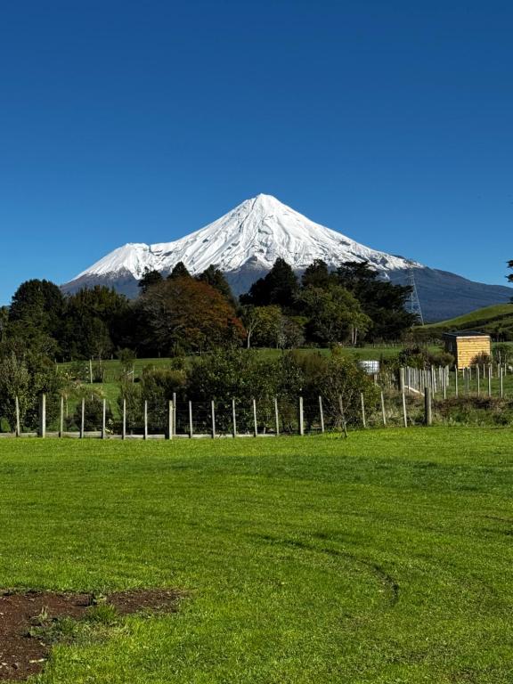 a snow covered mountain in the distance behind a field at Denbigh Homestay in Midhirst