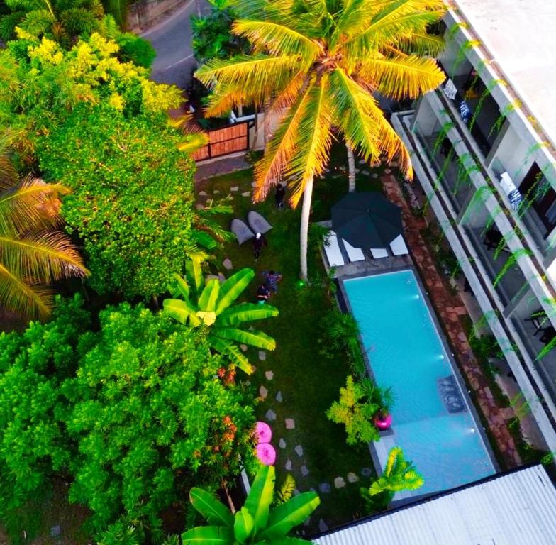 an overhead view of a resort with a swimming pool and palm trees at Amarante Madiha in Matara
