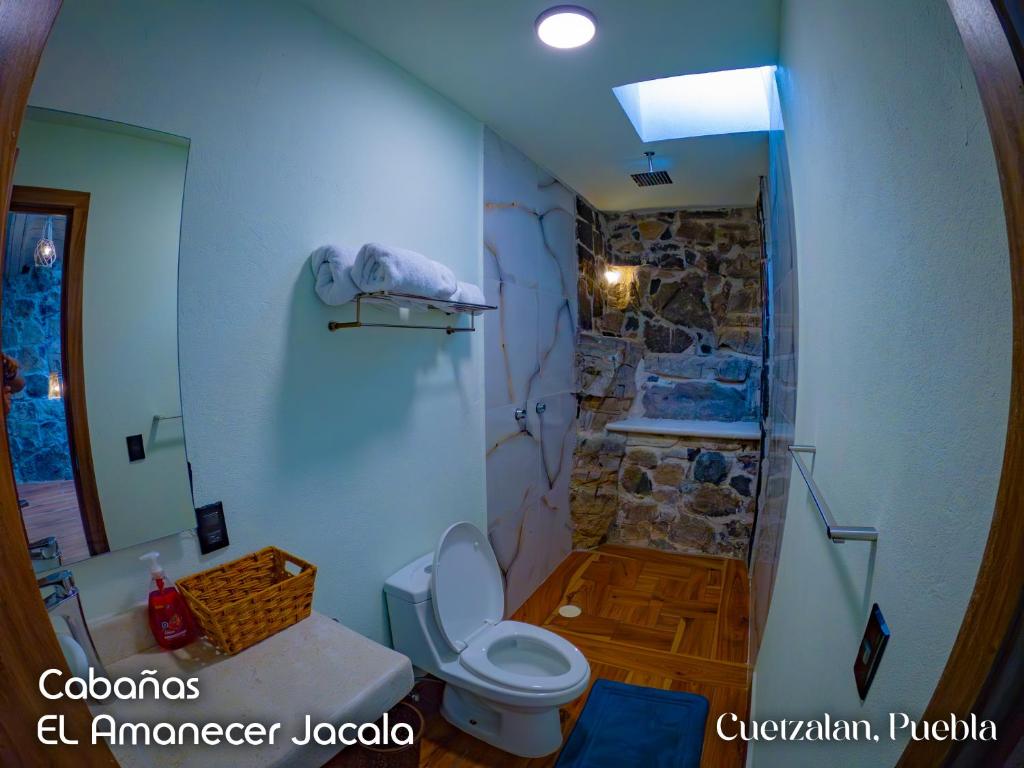 a bathroom with a toilet and a stone shower at Cabañas el amanecer Jacala in Cuetzalán del Progreso
