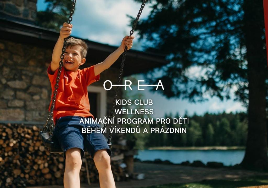 a young boy is sitting on a swing at OREA Resort Devět Skal Vysočina in Sněžné