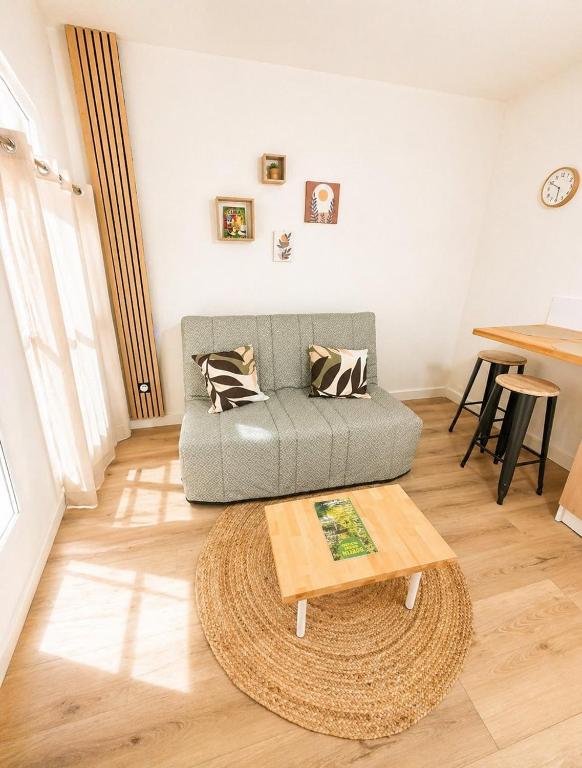 a living room with a couch and a coffee table at Le Petit Jean Alexandre – Studio centre-ville in Poitiers
