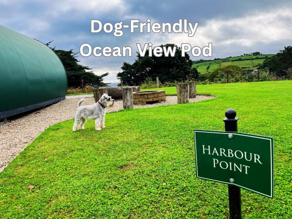 Glenarm Castle Ocean View Pods - 