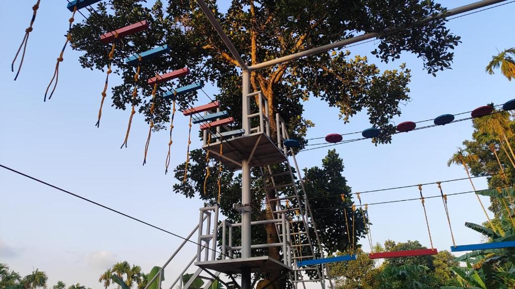a ride in the tree of life at Rays of Bliss in Mananthavady