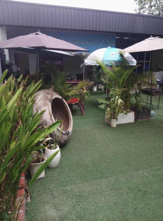 a patio with a bunch of plants and umbrellas at Pov Monique 2 in Stœ̆ng Trêng