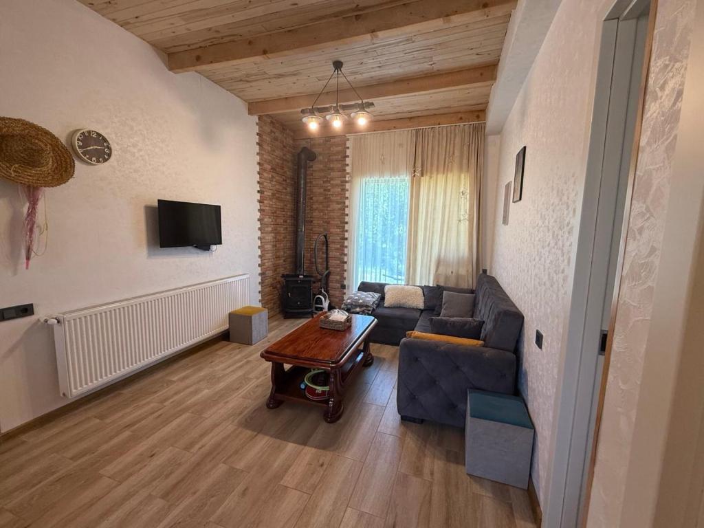 a living room with a couch and a table at Tsemi Aura in Tsemi