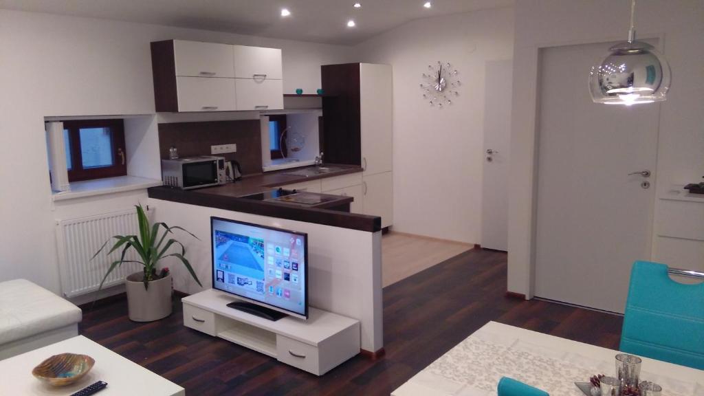 Apartmány Cechovní - 17