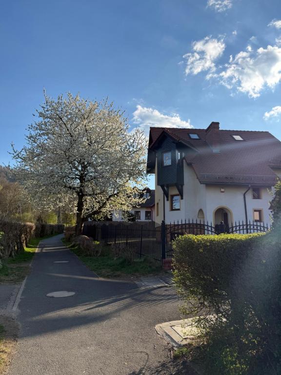 a white house with a fence and a tree at Pokoje Ella in Jelenia Góra