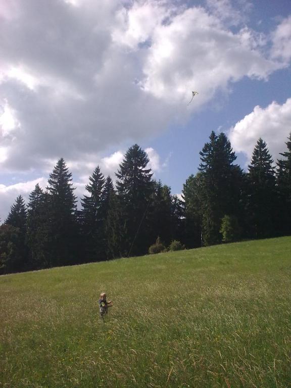 a dog in a field flying a kite in the sky at Apartmány Kuřátko in Benecko