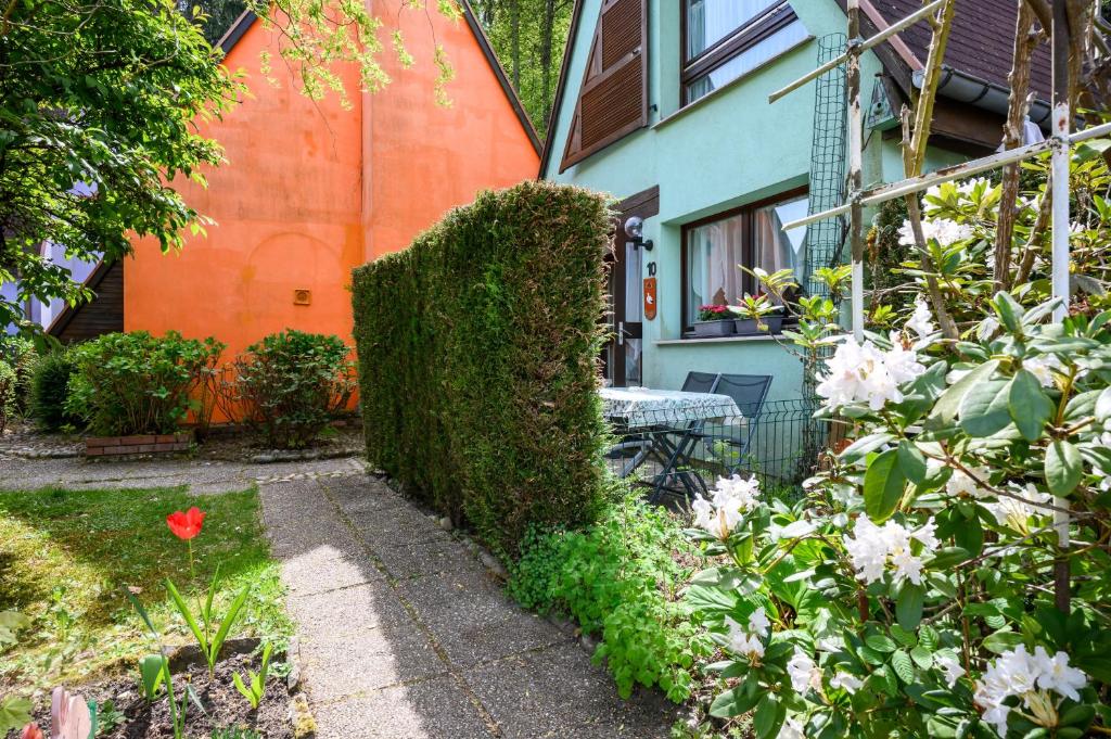 Gîte La Rose - Kaysersberg – photo 20