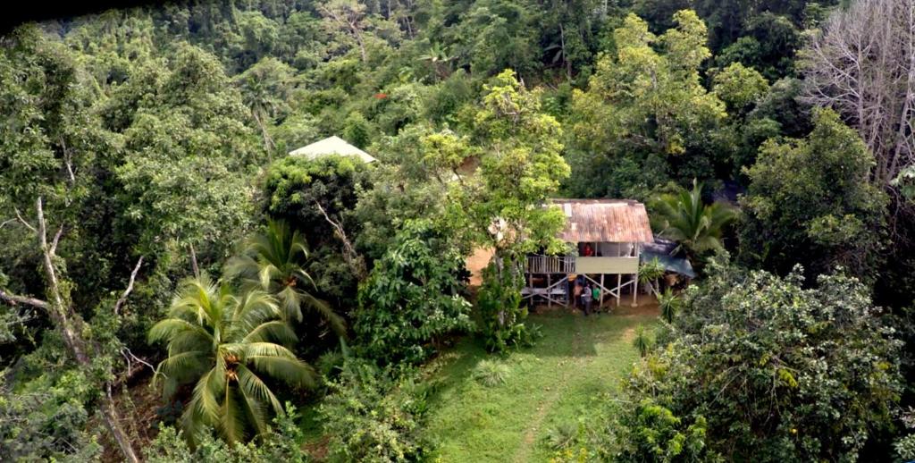 Bolita Rainforest Hostel Bolita Rainforest Hostel