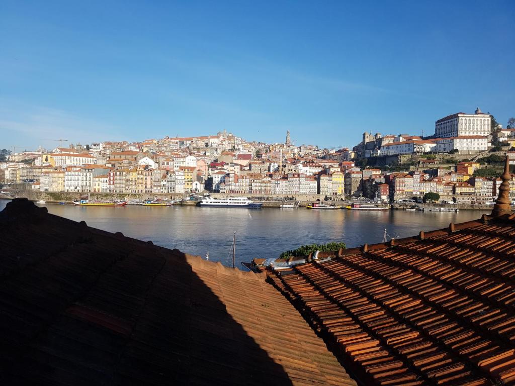 - une vue sur une ville et une rivière avec des bâtiments dans l'établissement Douro River Apartments, à Vila Nova de Gaia