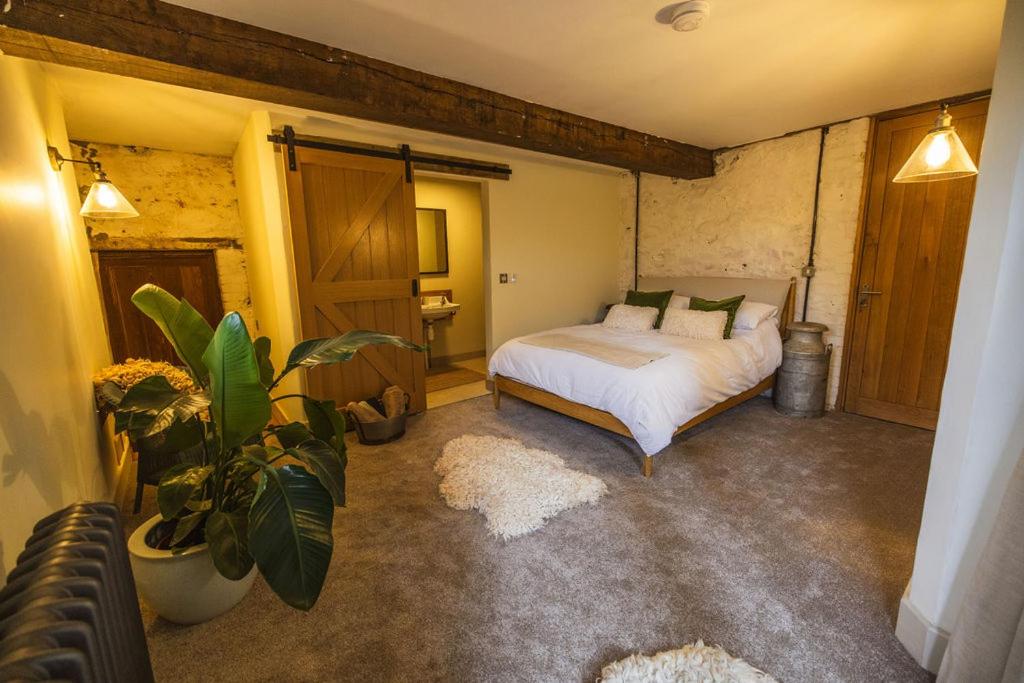 a bedroom with a bed and a plant in it at The Dairy in Lifton