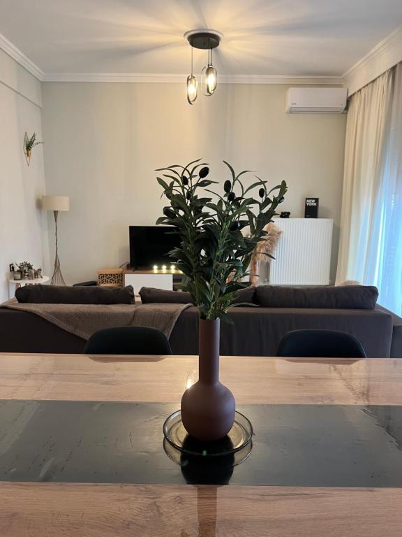 a vase sitting on a table in a living room at Flat30 - Cosy apartment in Park of Kipseli- Xanthi in Xanthi