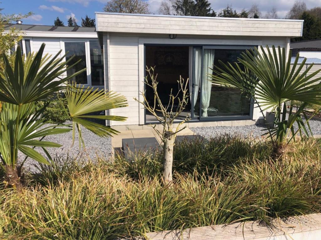 a house with two palm trees in front of it at Enigma Lounge Chalet with swimming pool in Zutendaal