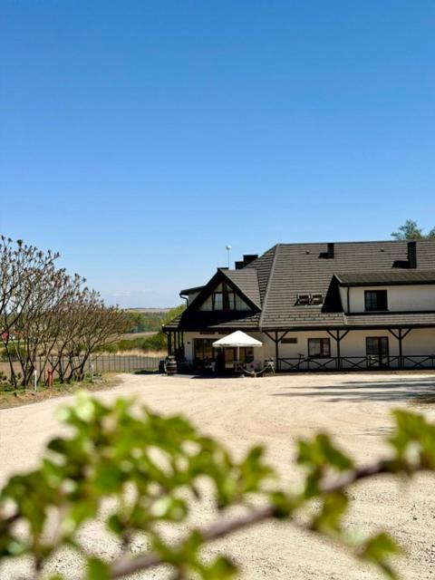 a large black house with a roof at Villa Sobótka in Sobótka