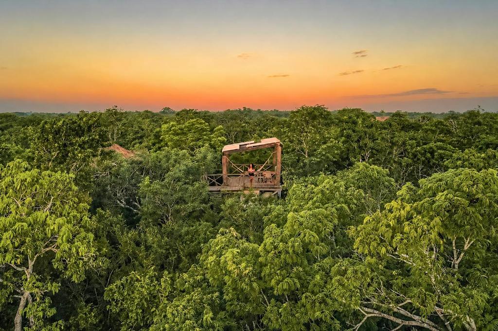 an old truck in the middle of the trees at Treehouse Tulum H2Ojos in Tulum