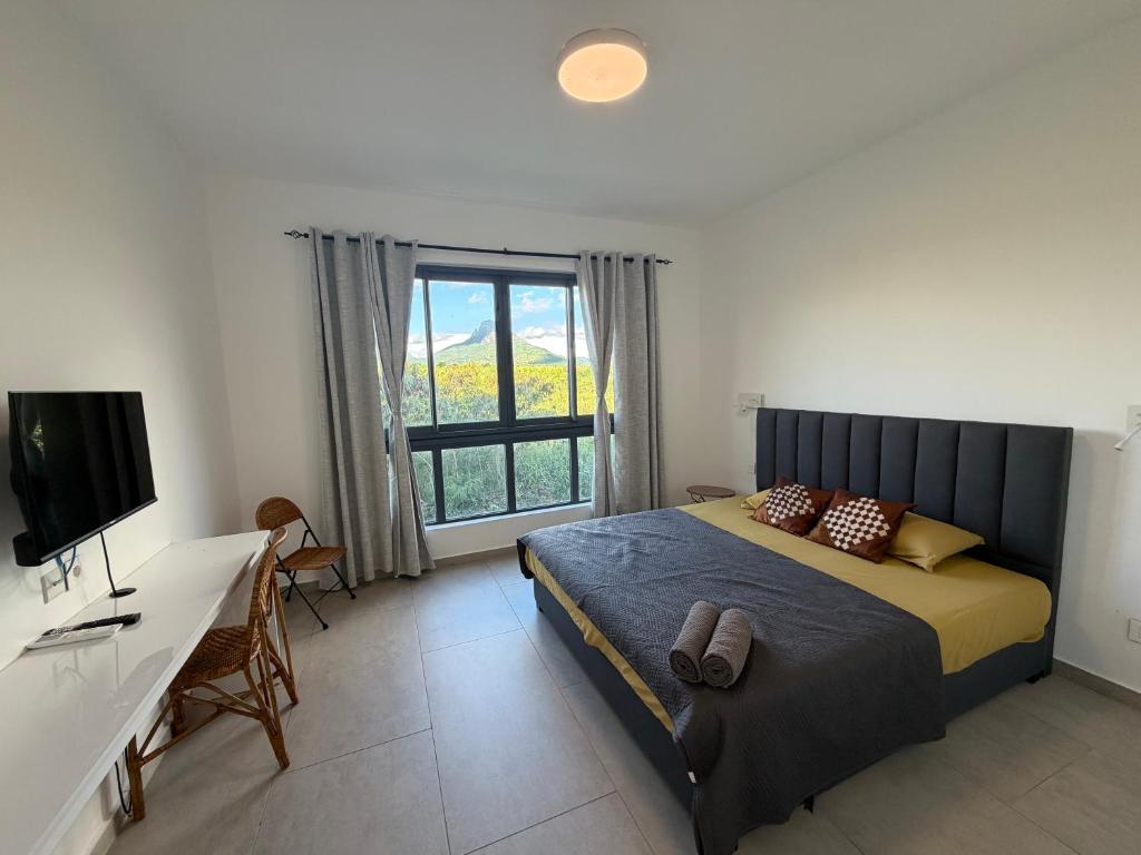 a bedroom with a bed and a desk and a television at J'Vais Residence in Flic-en-Flac