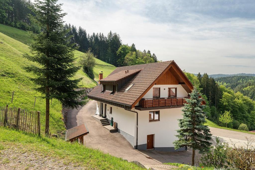 a house with a brown roof on a hill at Holderstanzenhof in Bad Griesbach