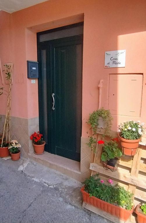 a green door on the side of a house with potted plants at Casa di Marie in Mafalda