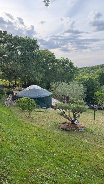 a small tree in a field with a tent at yourtes coccinelles in Conchez-de-Béarn