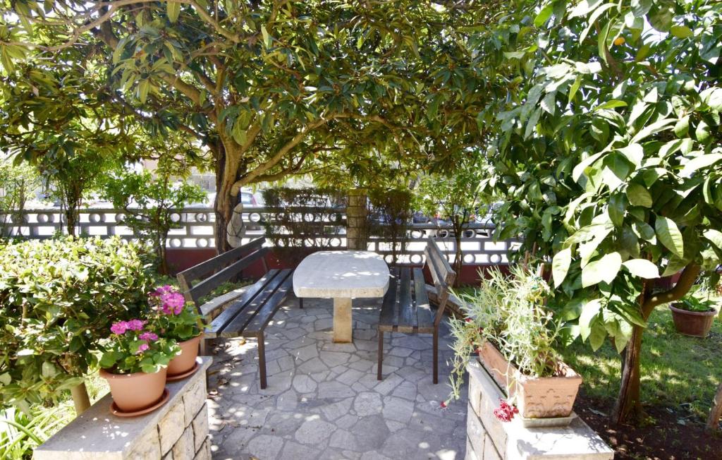 Spacious ground-floor flat in Umag