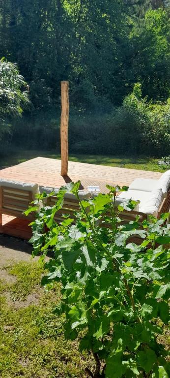 Bachgeflüster 2,5 Zimmer mit Offline- Terrasse und Grillplatz