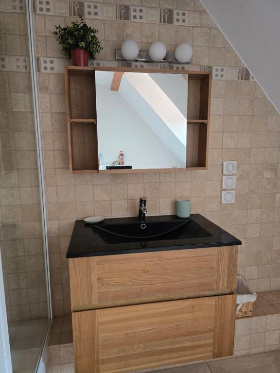 Le Tokay – photo 25
