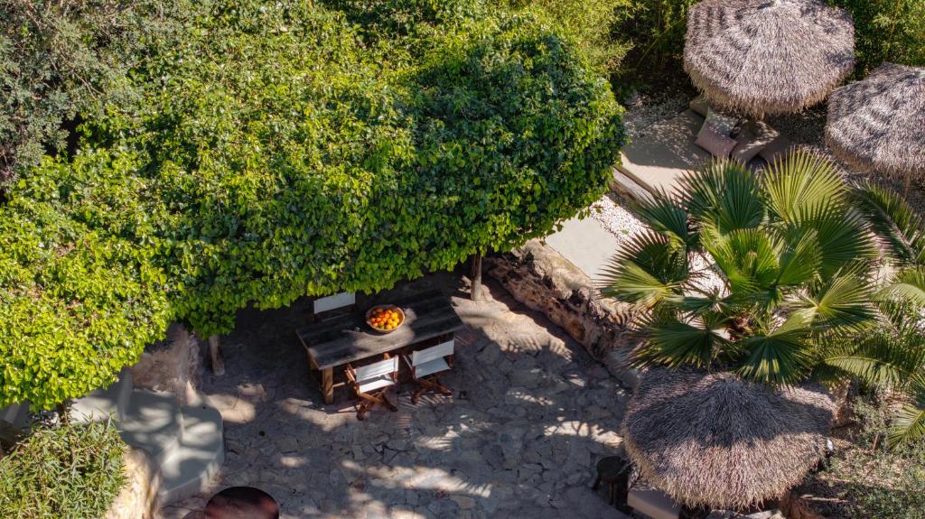 an overhead view of a picnic table and trees at Hotel Can Sastre in Santa Gertrudis de Fruitera