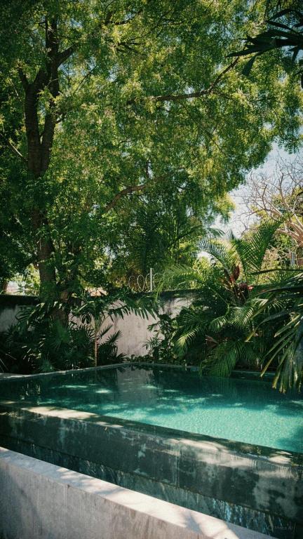 a swimming pool in a garden with trees at Artos Hostel in Mérida