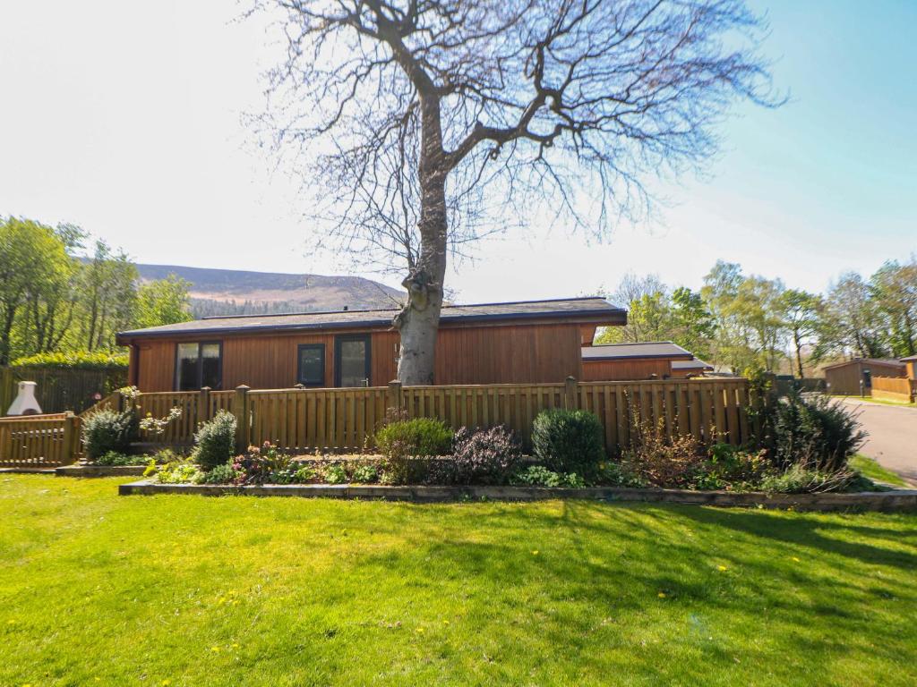 a house with a fence and a tree in a yard at Dovestone Luxury Lodges sleeps 4- pet free in Oldham