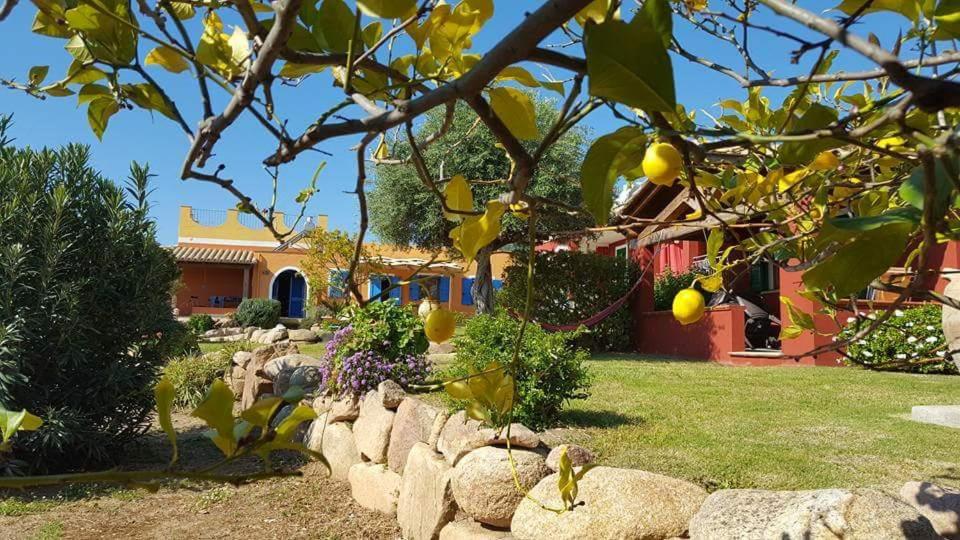 a garden with a stone wall and a house at Sole e Sale in Sardegna in Pula